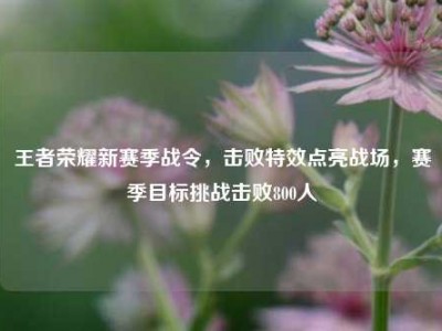 王者荣耀新赛季战令，击败特效点亮战场，赛季目标挑战击败800人