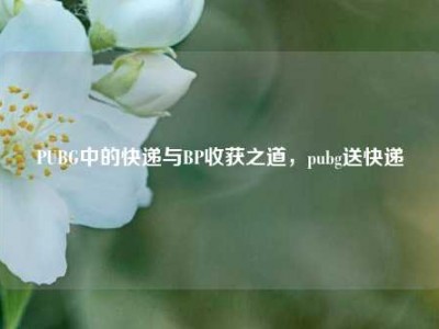 PUBG中的快递与BP收获之道，pubg送快递