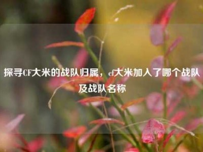 探寻CF大米的战队归属，cf大米加入了哪个战队及战队名称