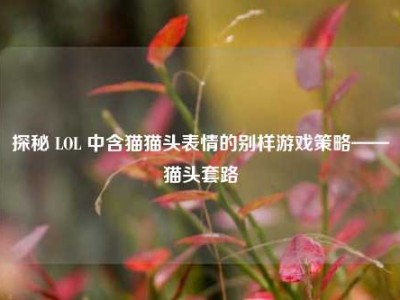 探秘 LOL 中含猫猫头表情的别样游戏策略——猫头套路