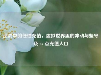 逆战中的任性充值，虚拟世界里的冲动与坚守及 nz 点充值入口