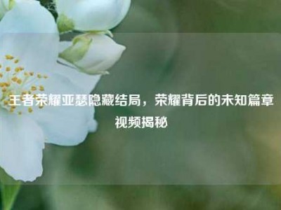 王者荣耀亚瑟隐藏结局，荣耀背后的未知篇章视频揭秘