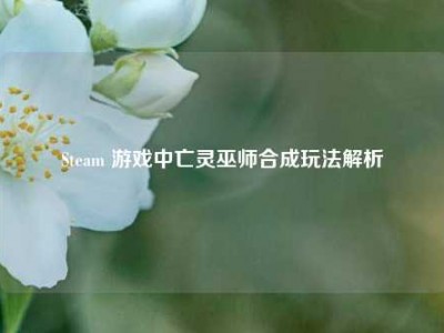 Steam 游戏中亡灵巫师合成玩法解析