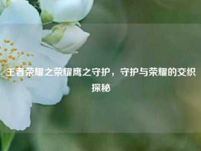 王者荣耀之荣耀鹰之守护，守护与荣耀的交织探秘
