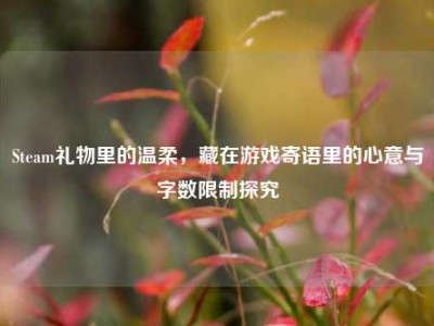 Steam礼物里的温柔，藏在游戏寄语里的心意与字数限制探究