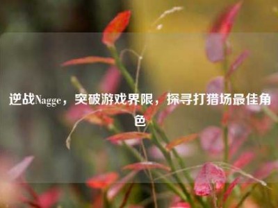 逆战Nagge，突破游戏界限，探寻打猎场最佳角色
