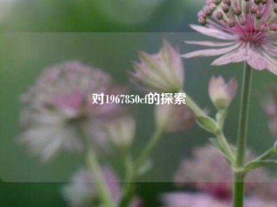 对1967850cf的探索