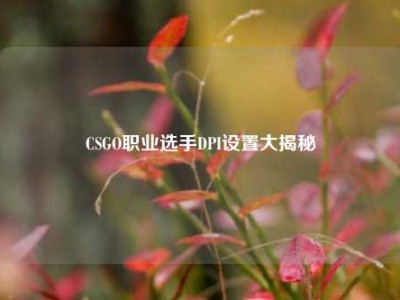 CSGO职业选手DPI设置大揭秘