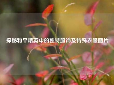 探秘和平精英中的独特服饰及特殊衣服图片