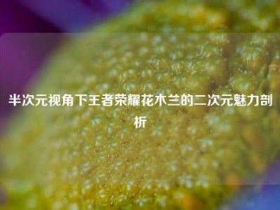 半次元视角下王者荣耀花木兰的二次元魅力剖析