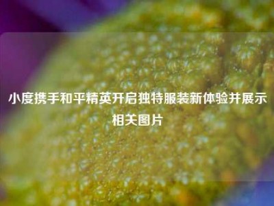 小度携手和平精英开启独特服装新体验并展示相关图片