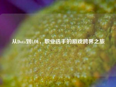 从Dota到LOL，职业选手的游戏跨界之旅