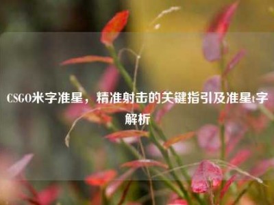CSGO米字准星，精准射击的关键指引及准星t字解析