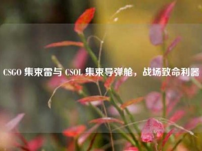 CSGO 集束雷与 CSOL 集束导弹舱，战场致命利器