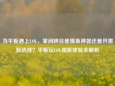 当平板遇上LOL，掌间峡谷是摸鱼神器还是开黑新选择？平板玩LOL视距体验全解析