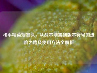 和平精英烟雾头，从战术刚需到版本符号的进阶之路及使用方法全解析