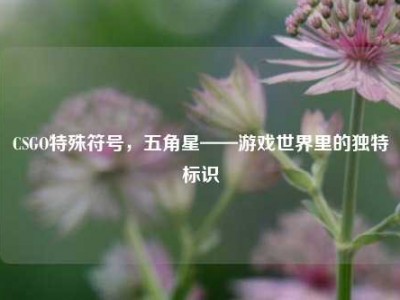 CSGO特殊符号，五角星——游戏世界里的独特标识