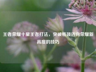 王者荣耀十星王者打法，突破瓶颈迈向荣耀新高度的技巧