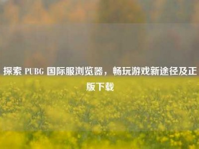 探索 PUBG 国际服浏览器，畅玩游戏新途径及正版下载