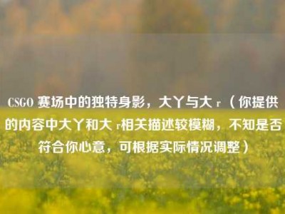 CSGO 赛场中的独特身影，大丫与大 r （你提供的内容中大丫和大 r相关描述较模糊，不知是否符合你心意，可根据实际情况调整）