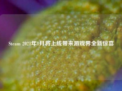 Steam 2021年1月将上线带来游戏界全新惊喜