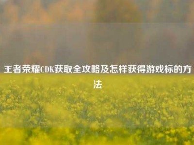 王者荣耀CDK获取全攻略及怎样获得游戏标的方法