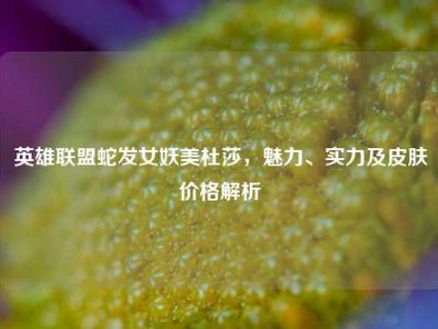 英雄联盟蛇发女妖美杜莎，魅力、实力及皮肤价格解析