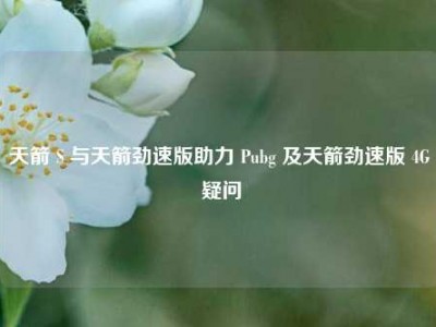天箭 S 与天箭劲速版助力 Pubg 及天箭劲速版 4G 疑问