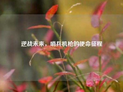 逆战未来，哨兵机枪的使命征程