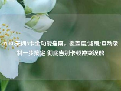 PUBG关闭N卡全功能指南，覆盖层/滤镜/自动录制一步搞定 彻底告别卡顿冲突误触