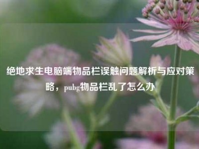 绝地求生电脑端物品栏误触问题解析与应对策略，pubg物品栏乱了怎么办