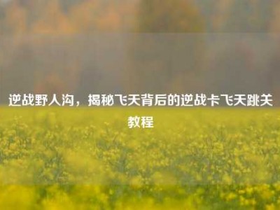 逆战野人沟，揭秘飞天背后的逆战卡飞天跳关教程