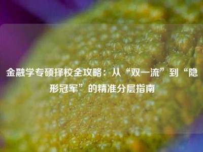 金融学专硕择校全攻略：从“双一流”到“隐形冠军”的精准分层指南