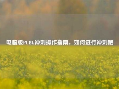 电脑版PUBG冲刺操作指南，如何进行冲刺跑