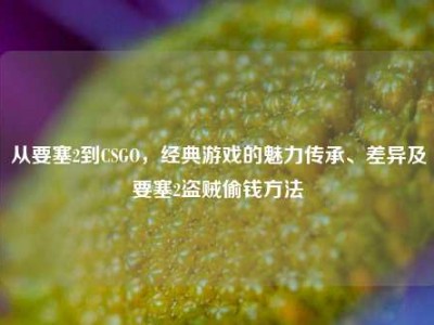 从要塞2到CSGO，经典游戏的魅力传承、差异及要塞2盗贼偷钱方法