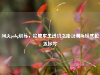 网页pubg训练，绝地求生进阶之路及训练模式位置探寻