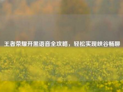 王者荣耀开黑语音全攻略，轻松实现峡谷畅聊
