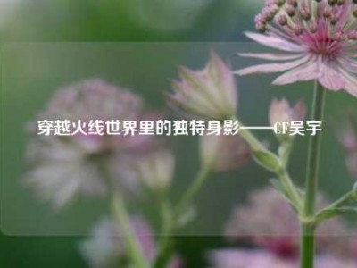 穿越火线世界里的独特身影——CF吴宇