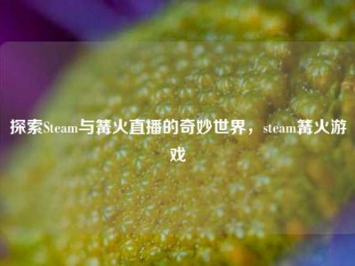 探索Steam与篝火直播的奇妙世界，steam篝火游戏
