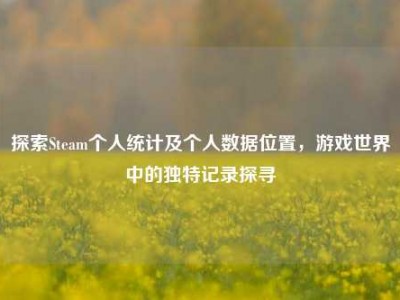 探索Steam个人统计及个人数据位置，游戏世界中的独特记录探寻