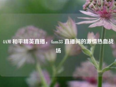 4AM 和平精英直播，4am33 直播间的激情热血战场
