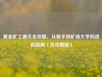黄金矿工通关全攻略，从新手到矿场大亨的进阶指南（含攻略图）