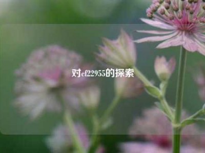 对cf22955的探索