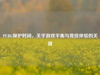 PUBG保护时间，关乎游戏平衡与竞技体验的关键