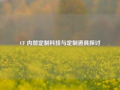 CF 内部定制科技与定制道具探讨