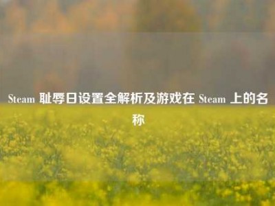 Steam 耻辱日设置全解析及游戏在 Steam 上的名称