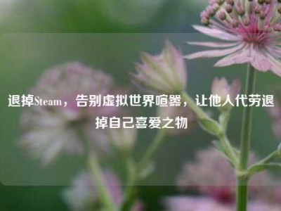 退掉Steam，告别虚拟世界喧嚣，让他人代劳退掉自己喜爱之物