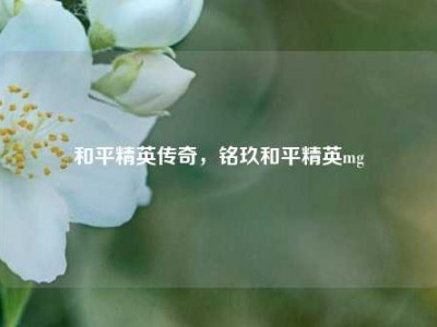 和平精英传奇，铭玖和平精英mg