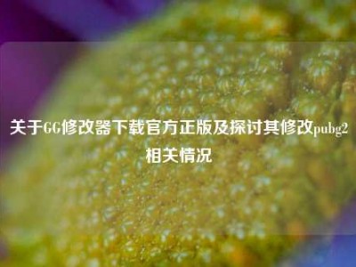 关于GG修改器下载官方正版及探讨其修改pubg2相关情况