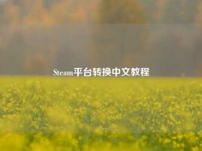 Steam平台转换中文教程